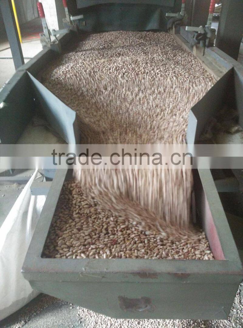 2016 light speckled kidney bean