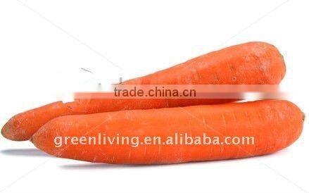 AD carrot/ dehydrated vegetable