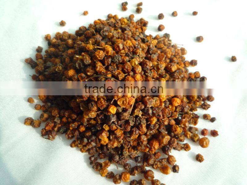 Dried wild red sorbus fruit
