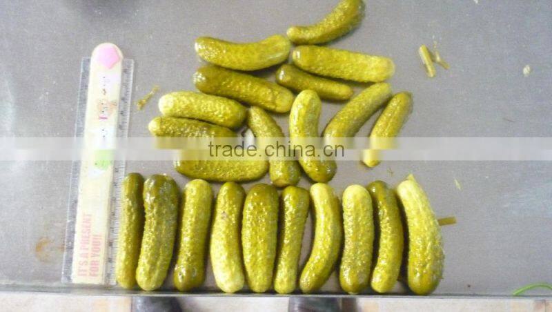 Best of Vietnamese pickled cucumbers, pickled gherkins in glass jars