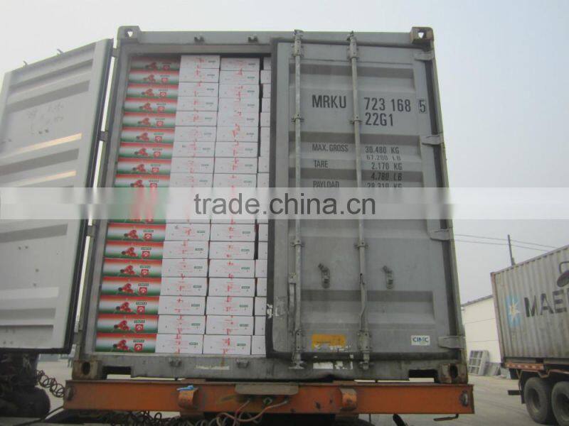 Tomato Ketchup tomato sauce OEM China manufacturer factory for Africa