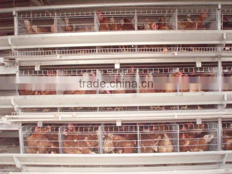H-type Multi-tier Hot Galvanized Steel Chicken Coop