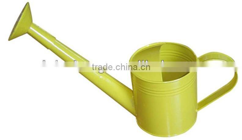 unique beautiful small watering pot