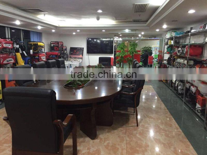 VLAIS gas generator 2.5kwa,gas generator for home use,high quality gas generator