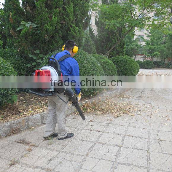 china 2-stroke garden vacuum cleaner and blower EB650