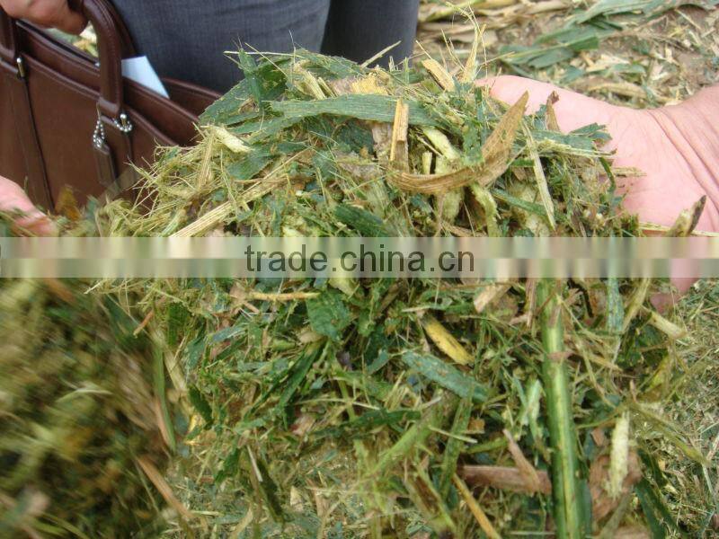 4JQ-1.8 Maize silage combine mulcher shredder