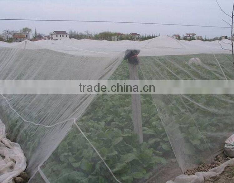 20*10 16*10 mesh white anti insect net/mosquito fly proof wire mesh