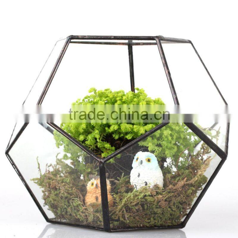 One face opening / Cube Terrarium / Indoor mini Modern Planter / Handmade / For Airplant vintage glass terrarium box