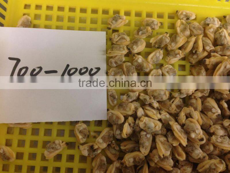 High quality hot sales frozen short necked clam meat