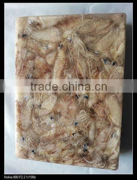 chinese frozen squid