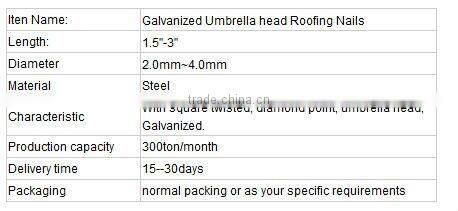Galvanized Umbrella head Roofing nails from Guangzhou Supplier