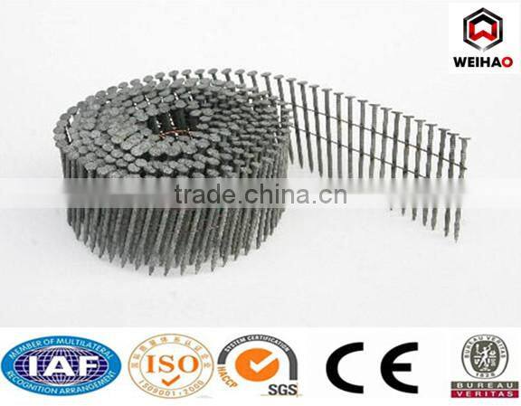 galvanized wire coil nails iron nail steel nail roofing nail