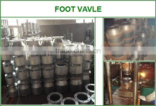 Galvanized Carbon Steel Flange End Foot Valve