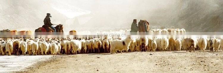 wholesale 2017 winter OEM design women cashmere cape poncho and shawl sweater