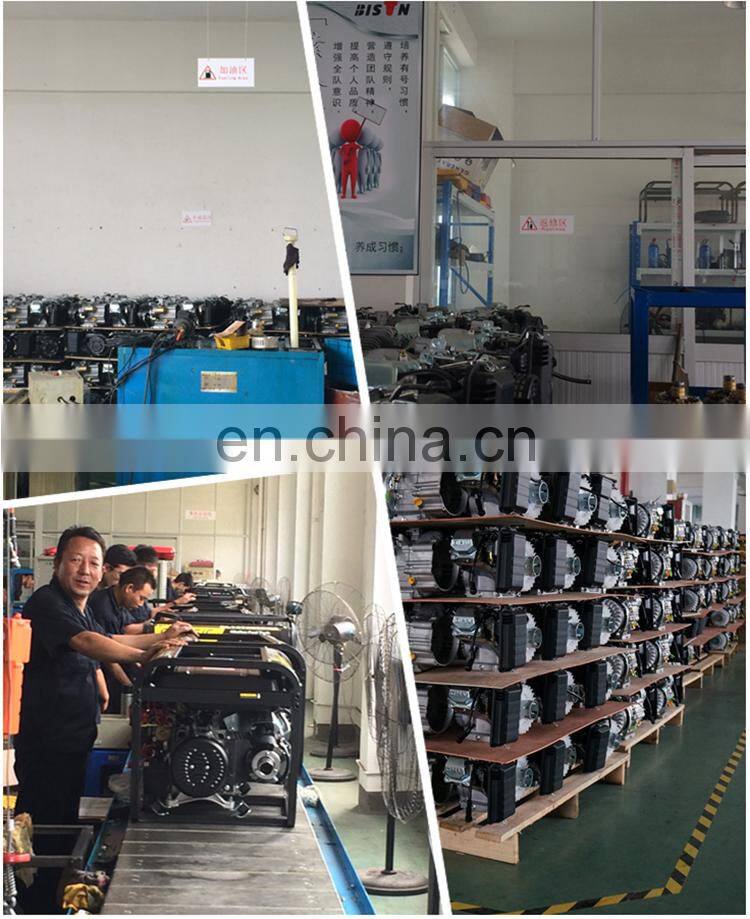 BISON China 100% copper Electric Start Diesel Power 15 kva 3 phase generator