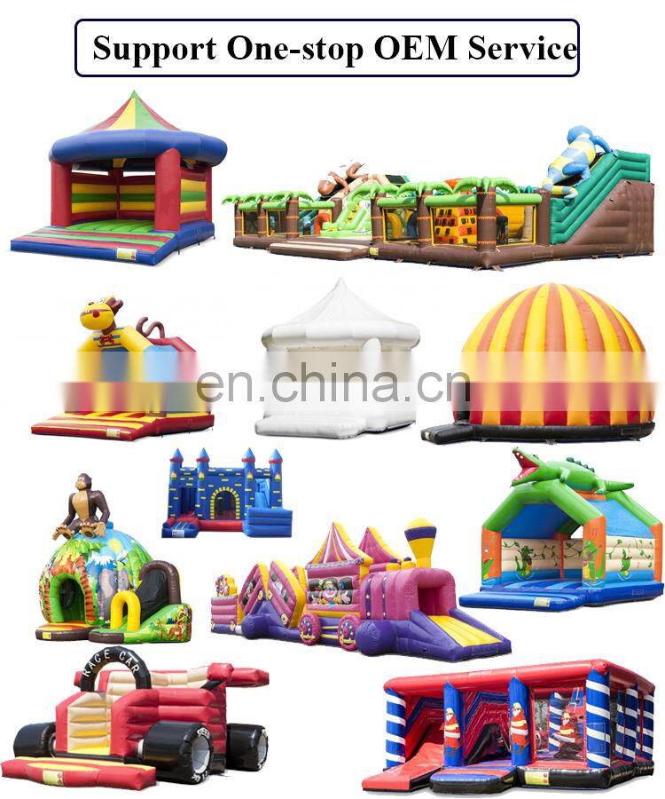 Inflatable Water Slide Inflatable Waterslide for Water Park Use