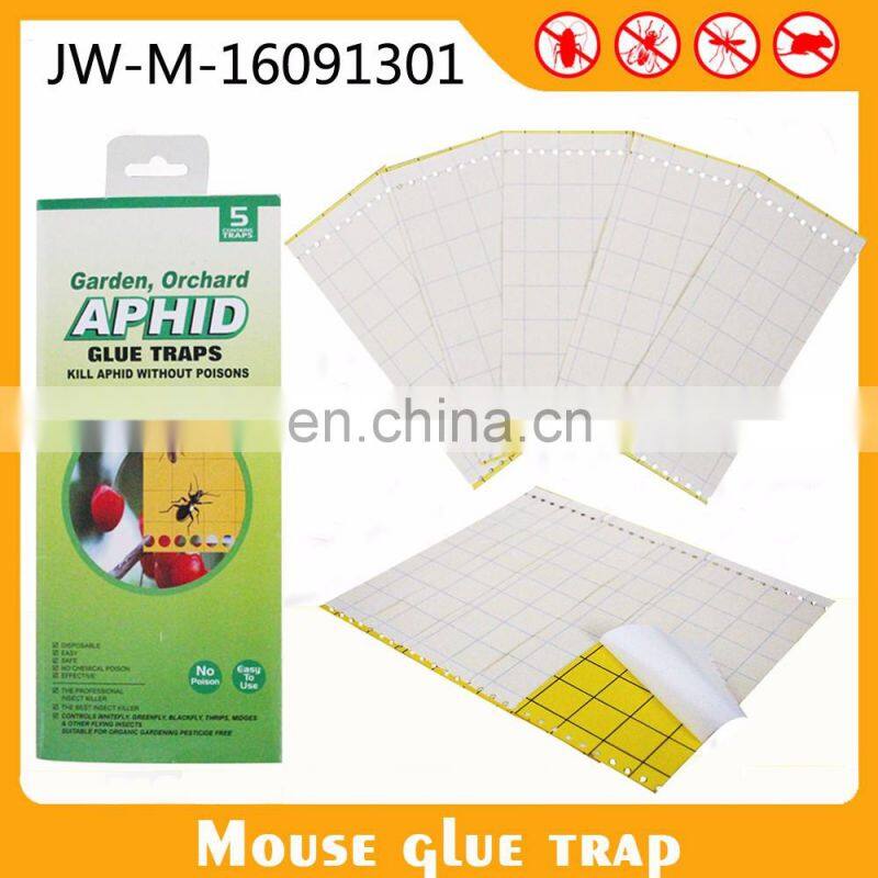 Insecticides For Public Health Sticky Fly Paper Fruit Fly Glue Board