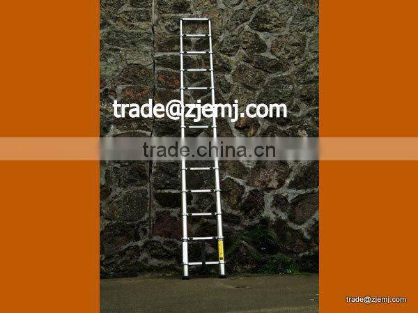 Telescopic ladder 2.9m