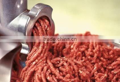 Mini Electric Meat Grinder