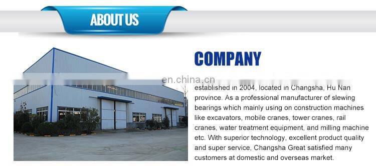 SS1926 SS1936 SS2527 truck crane slewing bearing