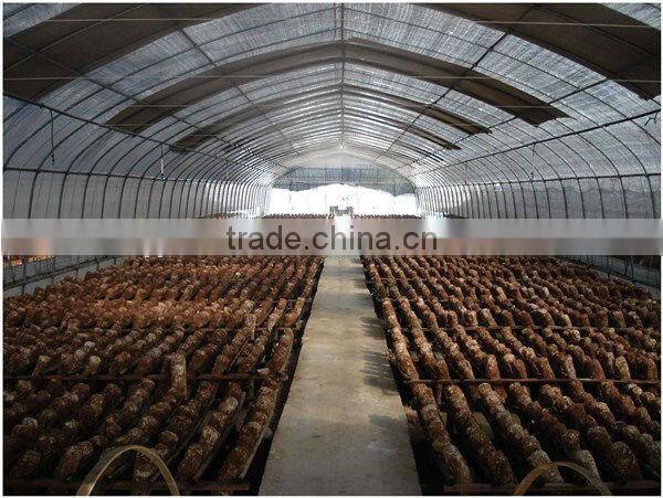 plastic greenhouse price