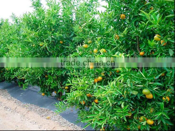 garden ,horticulture pp/pe plastic weed mat control textile soft cloth