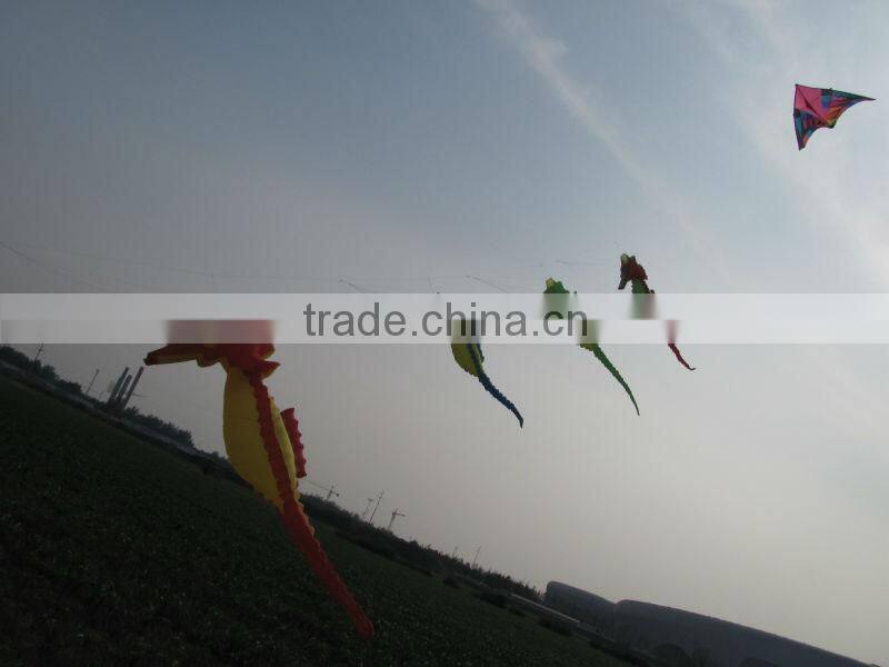 beautiful sunny flower inflatable kite