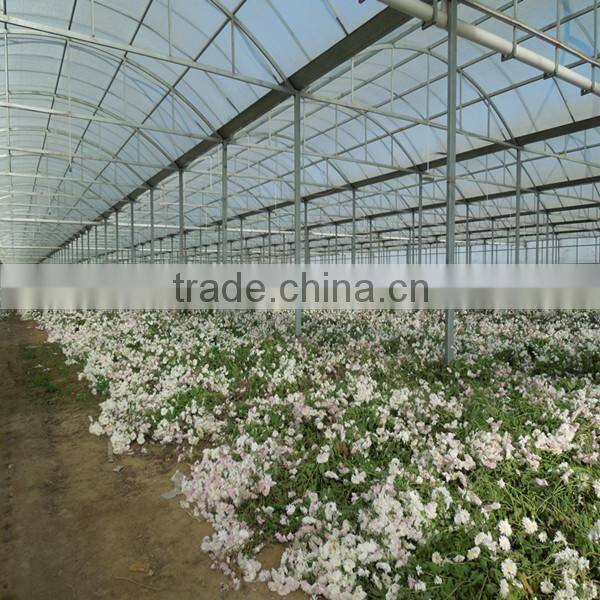 10 years supplier export sun shade net, shade screen for greenhouse, sun block shade netting