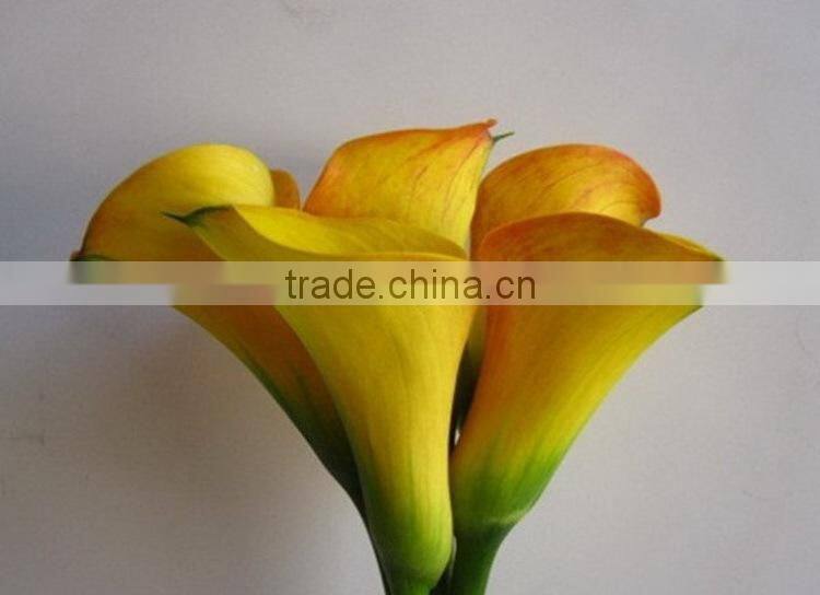 Wide varieties hot-sale real touch calla lilies wholesale
