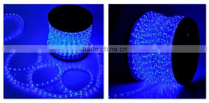 Hot sales 220V Crystal Blue LED Rope Light