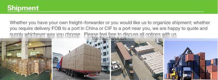 intelligent display 1000VA automatic voltage stabilizer