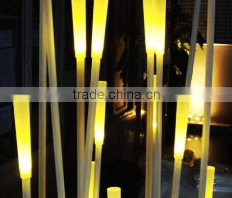 2016 newest product elegant design 12V outdoor LED reed light