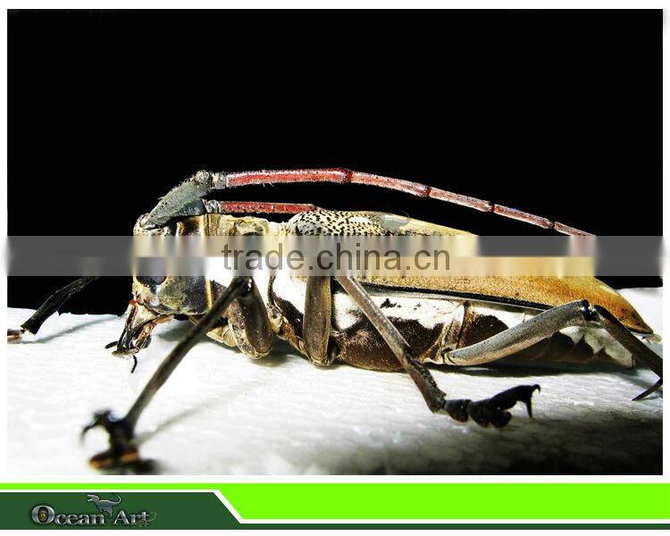Indoor playground animatronic animal insects