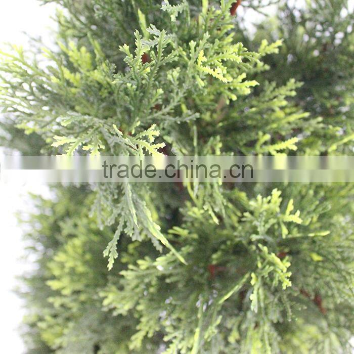 artificial pyramid cedar plant factory