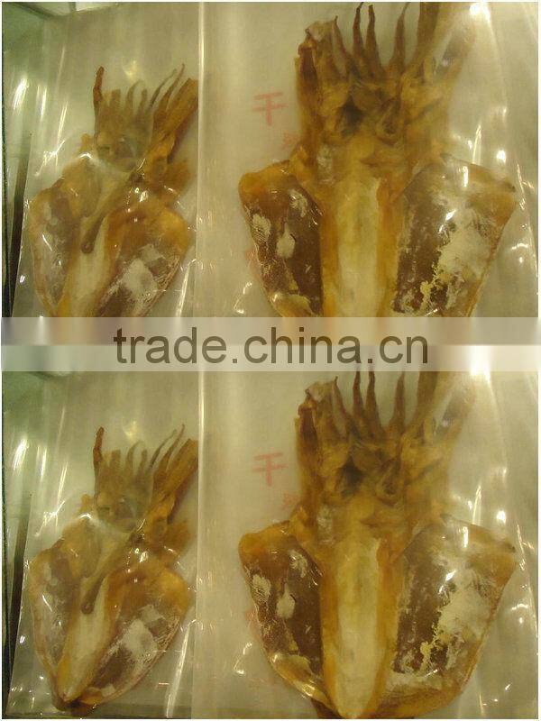 Bulk Packing High Quality Dried cuttlefish (Sthenoteuthis oualaniensis)
