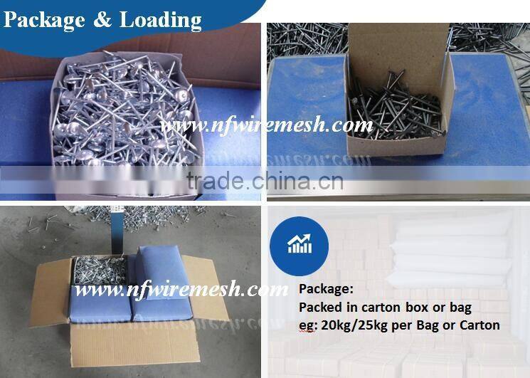 Pakistan high quality polished iron common wire nails for building(Guangzhou Factory)