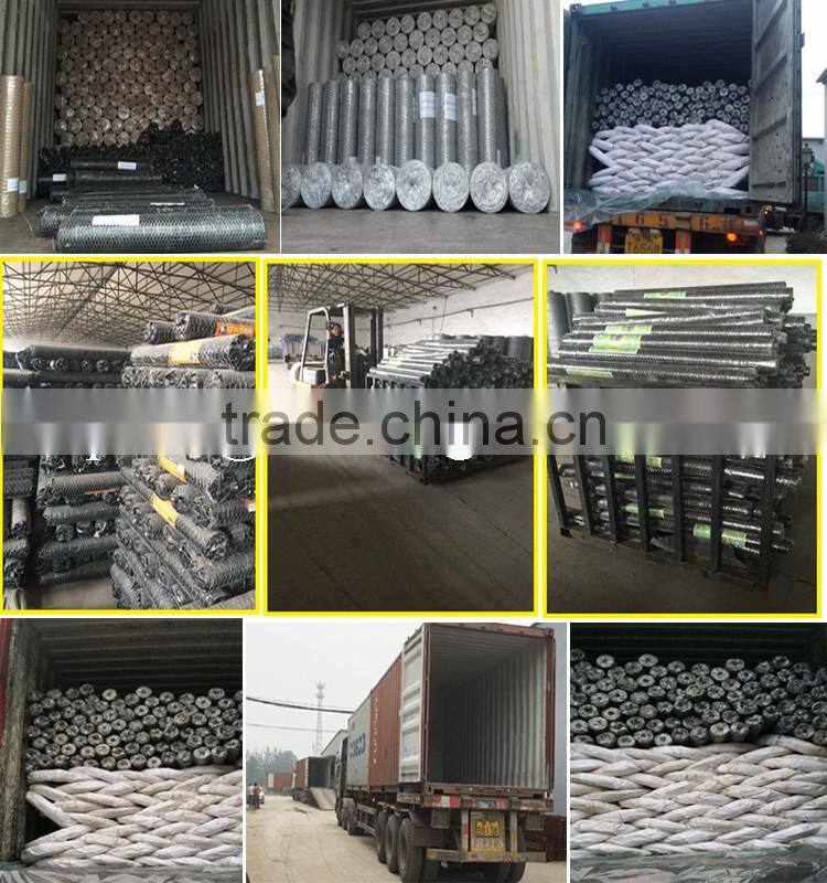 PVC coated Chicken Wire Mesh (Hexagonal Wire Netting)