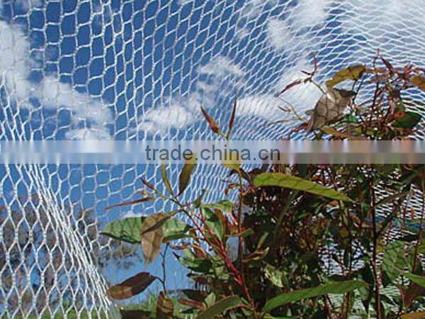 Bird netting protects crops from bird damage, against UV degradation