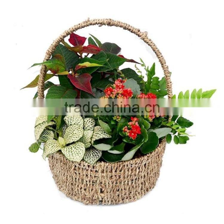Cheap wholesale small size plant & storage used seagrass basket