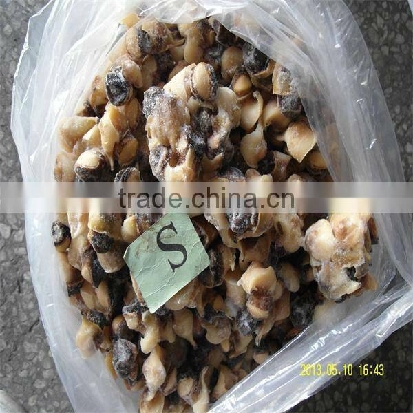 sea best frozen seafood conch