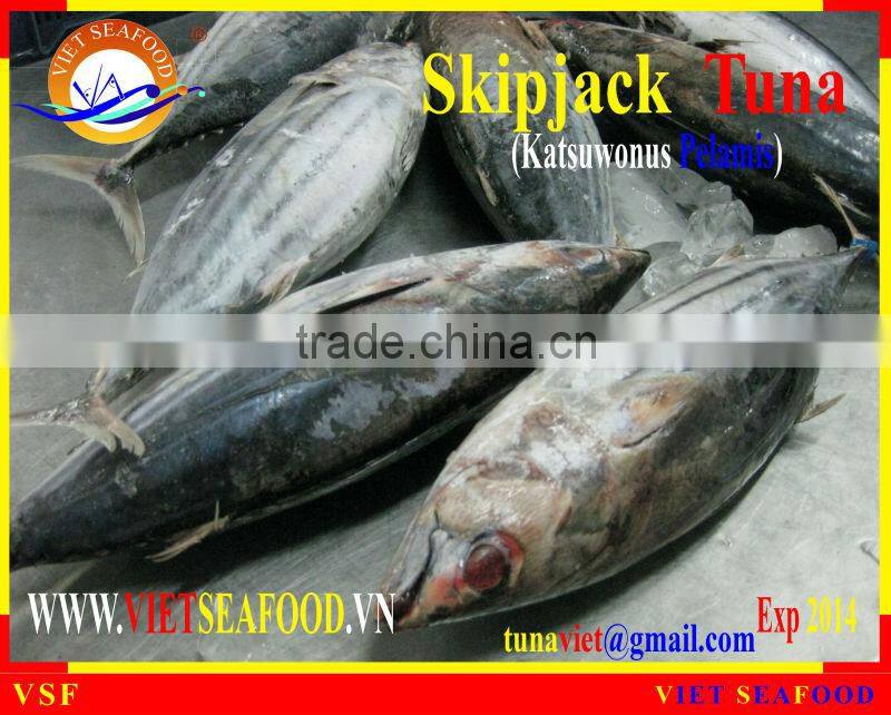 W/R FROZEN SKIPJACK TUNA