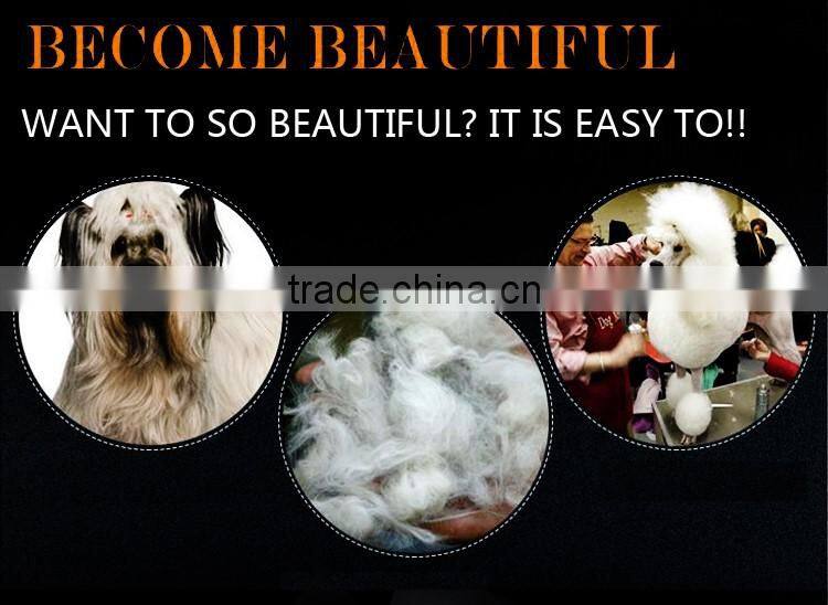 QJ-JP42 2017 new popular scissors stainless steel pet grooming scissors