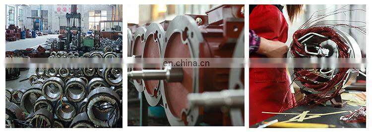 Hot selling 30kw 2955 rpm YE2 200L1-2 three phase electric ac water pump motor made in China