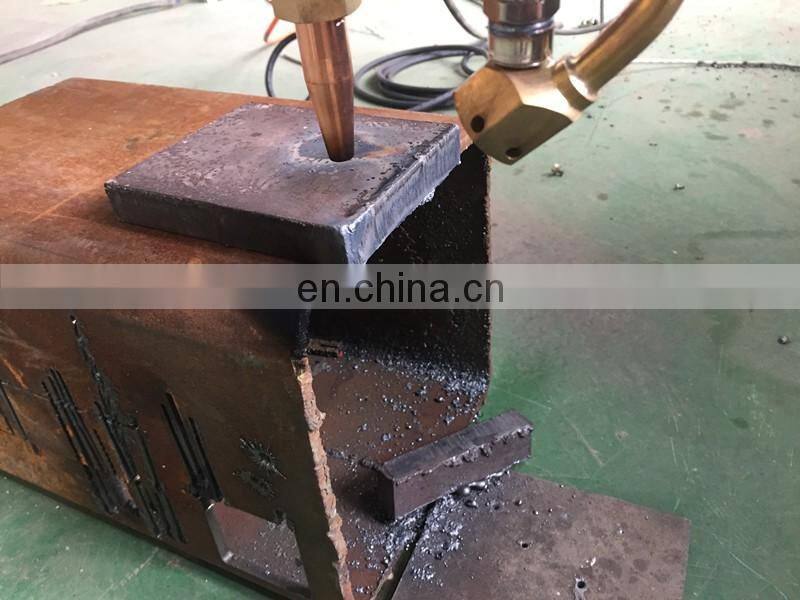 Remax 3060 Super gas steel gantry flame cutting machine