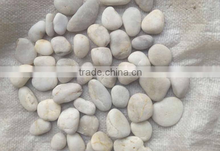 Mixed color pebble stone for sale