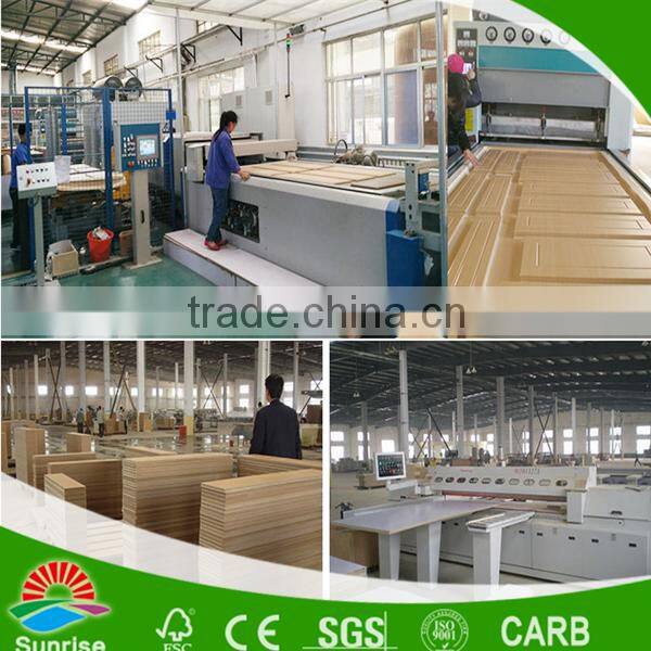 High quality PVC Cabinet Door from China/ cheap PVC cabinet door