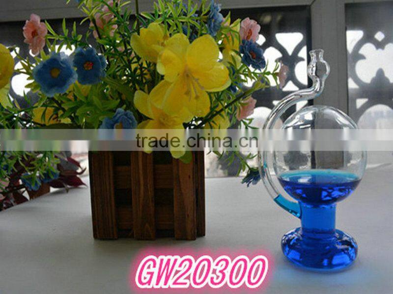 DIY Weather Predictable Forecast Glass Barometer