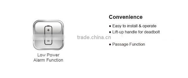 LSD8105 Best Selling Door Lock with security locks