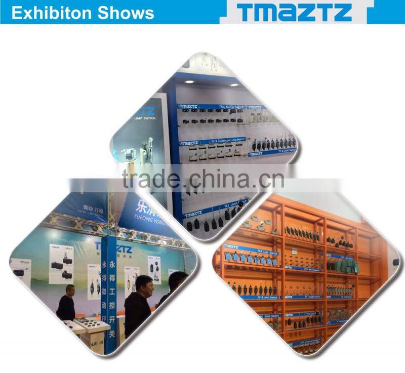 2 pins 15A 250V ON OFF screw terminal mini Toggle switch miniature toggle switch 1021 T511B