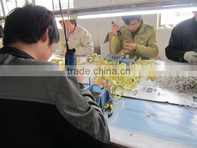 ceiling spotlight DL2004G